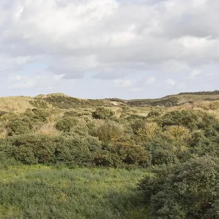 Zeebos Ref 236 * Bredene