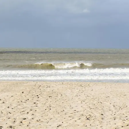 Zeebos Ref 236 Bredene